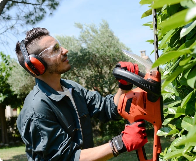 A man who owns a small business that does landscaping work is trimming a tree in a large yard